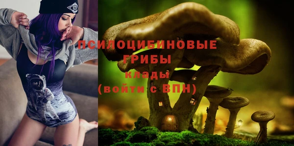 ГАЛЛЮЦИНОГЕННЫЕ ГРИБЫ Бугульма