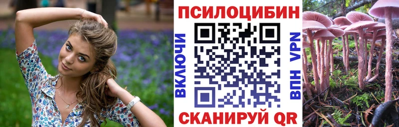 Галлюциногенные грибы Cubensis  blacksprut рабочий сайт  Выборг  где купить наркотик 