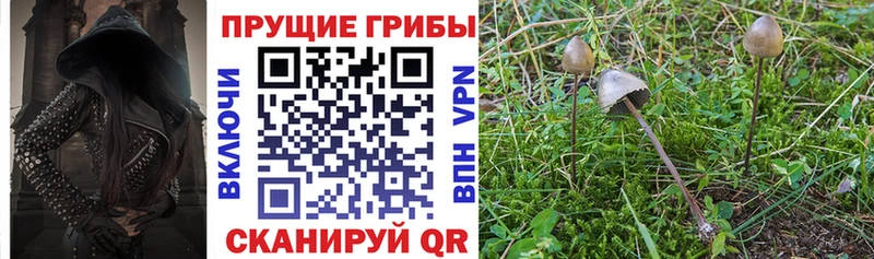 Галлюциногенные грибы Magic Shrooms Выборг