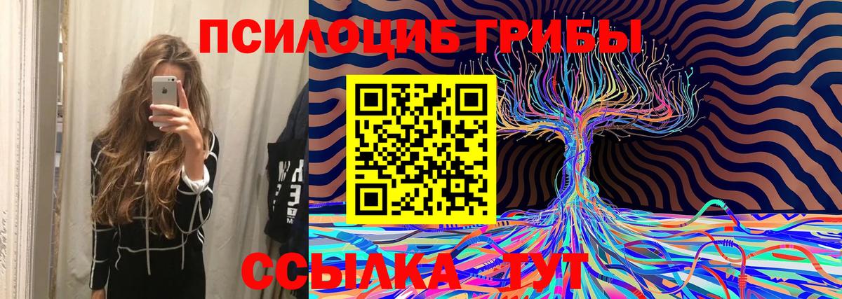 магазин  наркотиков  Псилоцибиновые грибы мухоморы  Вход с VPN  Выборг  Галлюциногенные грибы ЛСД 