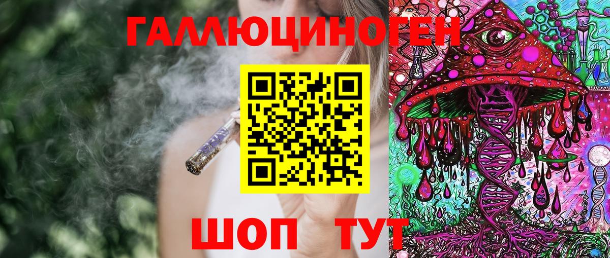 Псилоцибиновые грибы Psilocybe Выборг